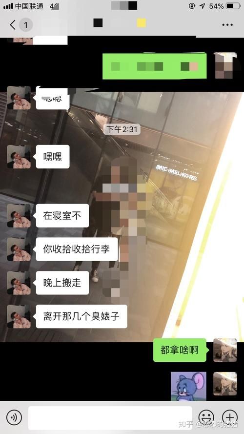 室友1.3版本大全更新内容一览及体验报告