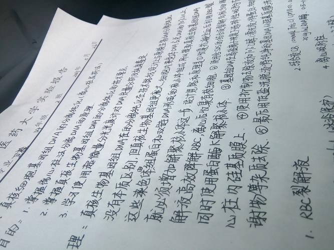 室友1.3版本大全更新内容一览及体验报告