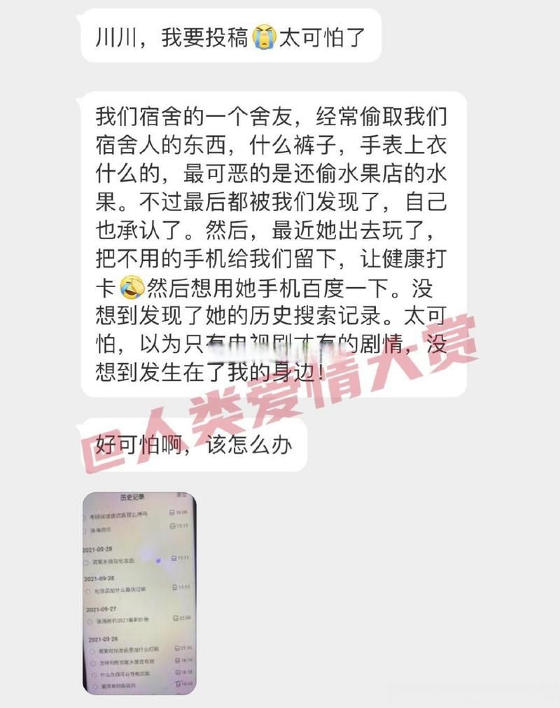 室友安卓汉化版常见问题及解决方法
