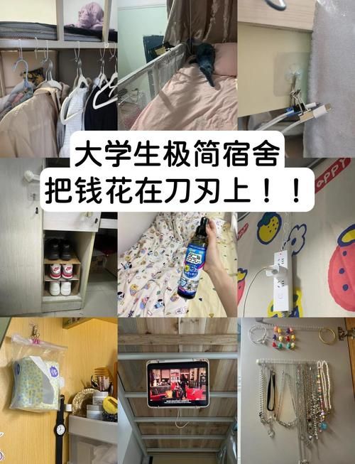 室友最新版本隐藏功能揭秘 这些小技巧超实用 室友最新版本隐藏功能揭秘 这些小技巧超实用