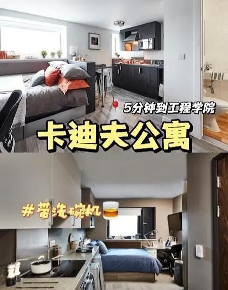 室友版本大全对比 哪种室友最适合一起生活