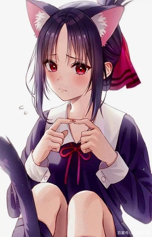 害羞女孩的改造最新版本是多少 升级内容大揭秘
