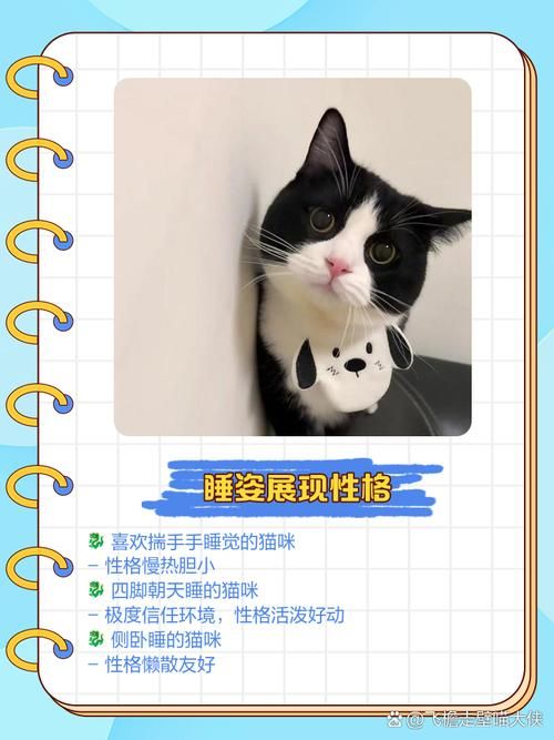 害羞女孩的改造最新版本是多少 升级内容大揭秘