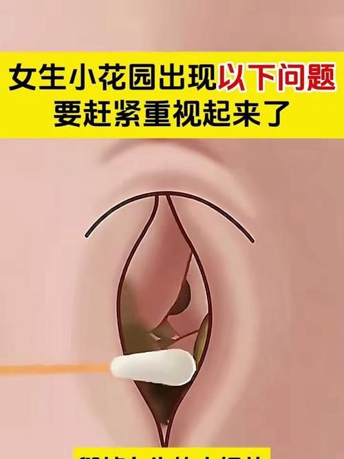 害羞女孩的改造版本大全如何克服胆小变得勇敢