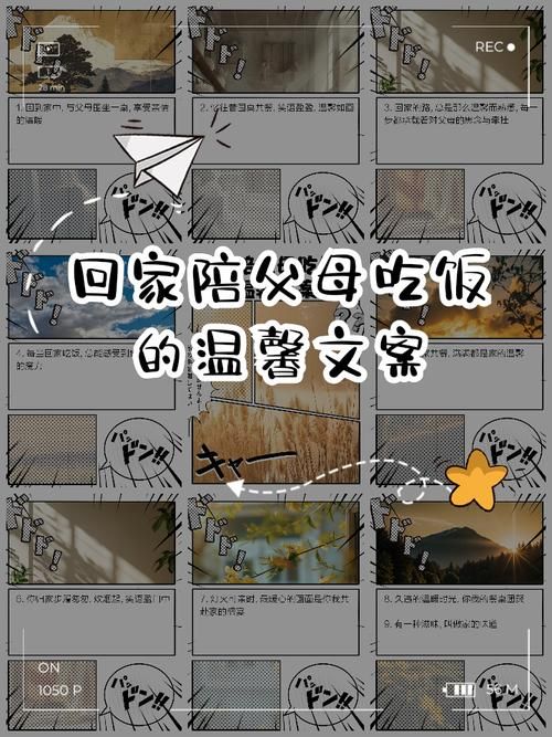 家人在家官网告诉你如何让家人更爱回家吃饭
