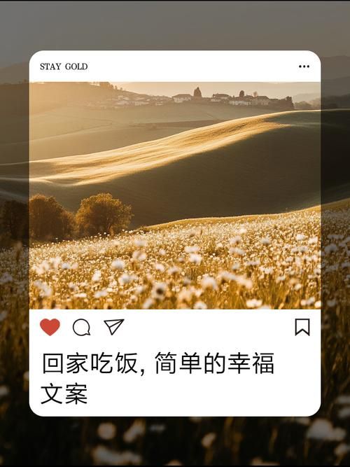 家人在家官网告诉你如何让家人更爱回家吃饭