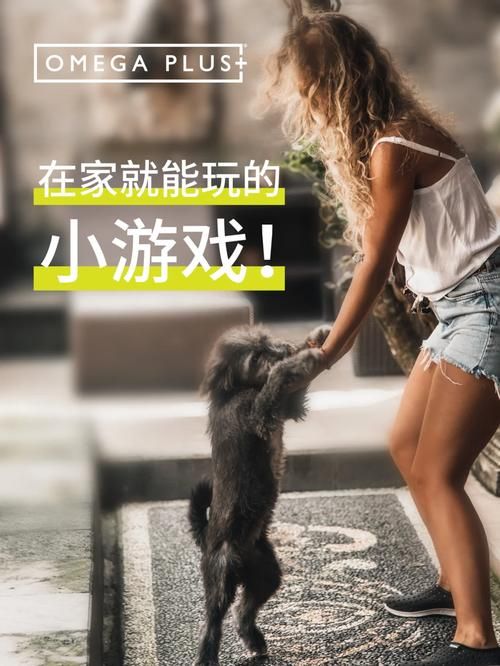 家人在家绅士游戏怎么选 这些游戏让家庭时光更欢乐