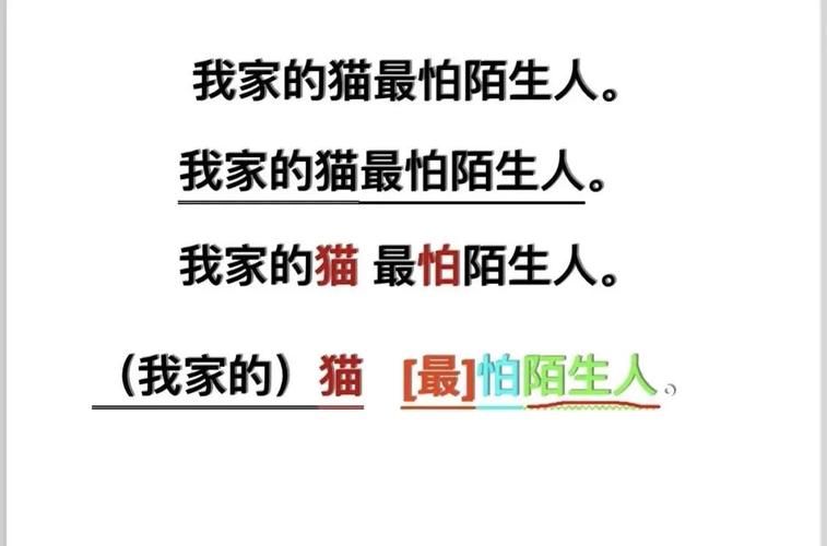 家人朋友和陌生人安卓应用功能全面解析