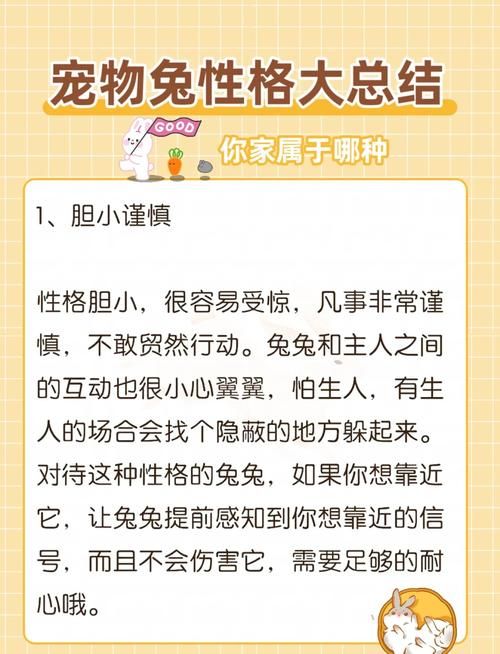 家人朋友和陌生人安卓应用功能全面解析