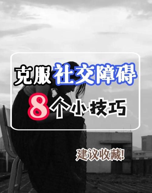 家人朋友和陌生人官网助你轻松应对各种社交场合