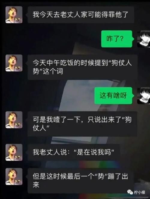 家人朋友和陌生人最新版本使用体验全解析