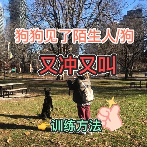 家人朋友和陌生人游戏下载安装教程分享