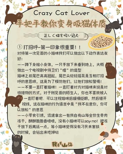 家人朋友和陌生人游戏攻略 新手必看通关技巧