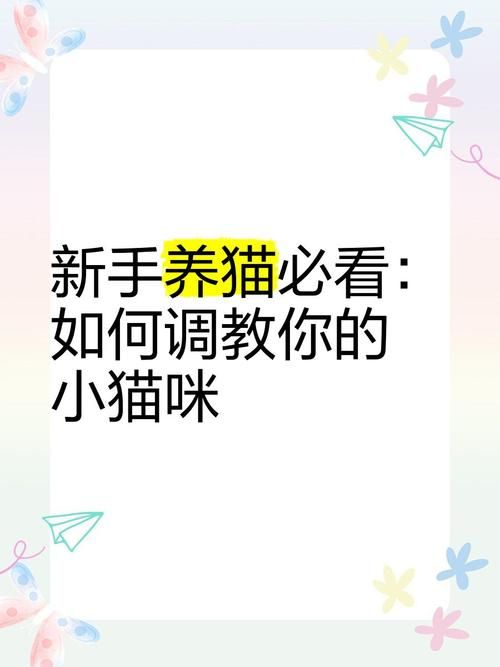 家人朋友和陌生人游戏攻略 新手必看通关技巧
