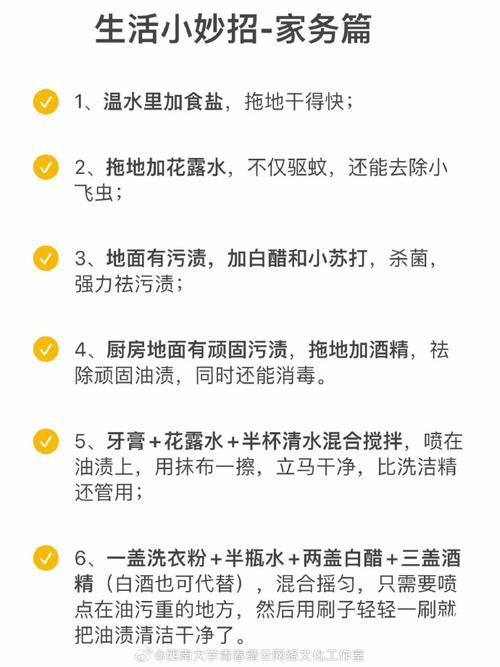 家庭事务游戏攻略推荐简单实用的家务技巧合集