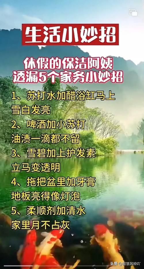 家庭事务管理app安卓下载 一键解决家务烦恼