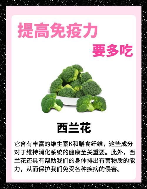 家庭健康饮食指南 吃出幸福好味道