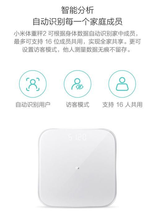 家庭数女版本大全哪个好 热门版本详细对比评测