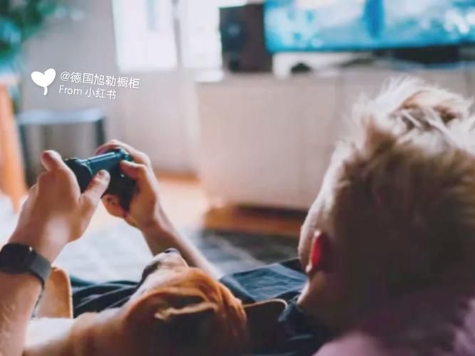家庭生活汉化版下载攻略 快速安装无广告纯净版