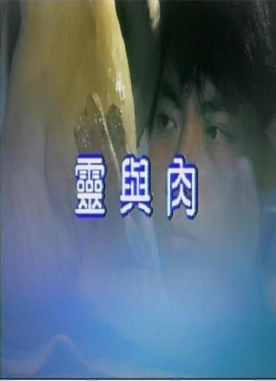 家庭迷恋汉化版下载 最新中文版免费获取方法