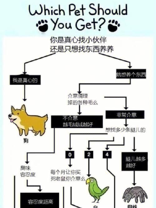 家族事业最新版本是多少 想知道最新进展看这里