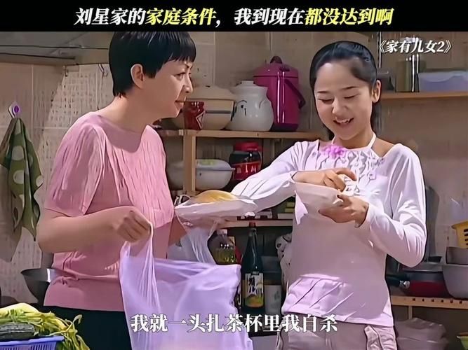 家有儿女2完结版安卓下载高清无广告流畅播放
