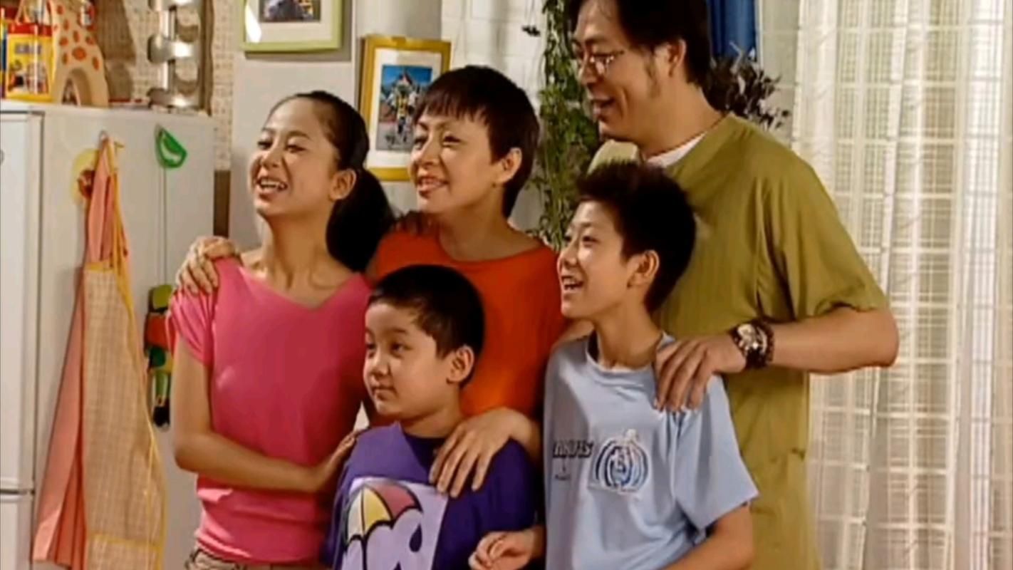 家有儿女2完结版最新版本是多少剧情介绍和演员表