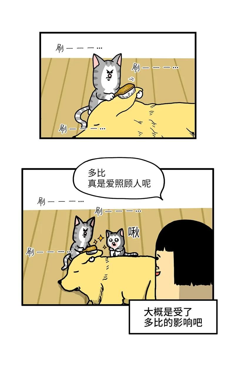 家里蹲女友如何下载电影 最新资源获取方法分享