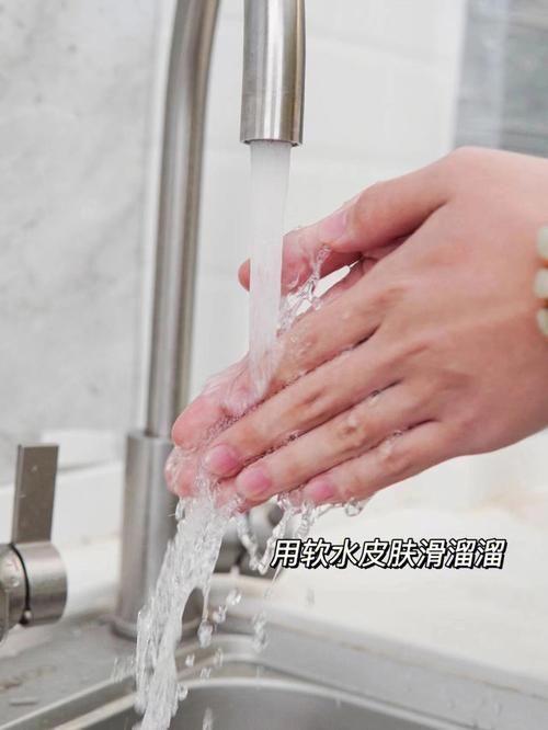 家里蹲女友最新版本评测真实感受分享给你看
