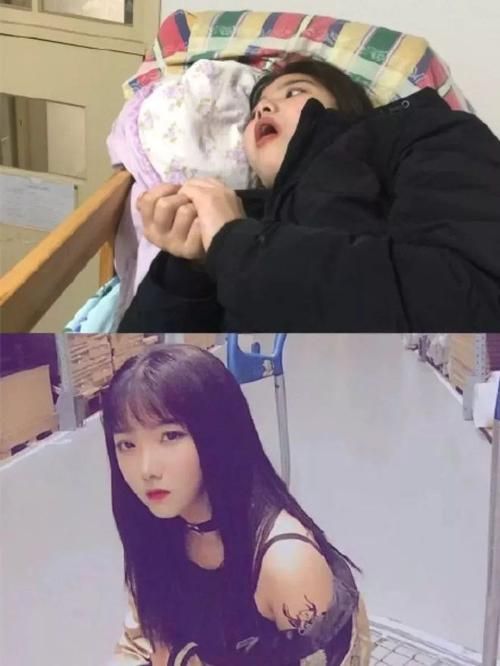 家里蹲女友最新版本评测真实感受分享给你看