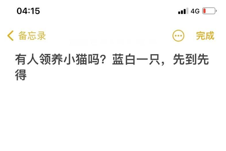 家里蹲女友游戏官网注册教程及常见问题解答