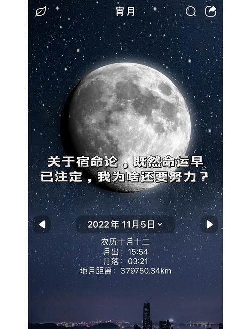 宿命论安卓版下载 揭秘命运能否被改写
