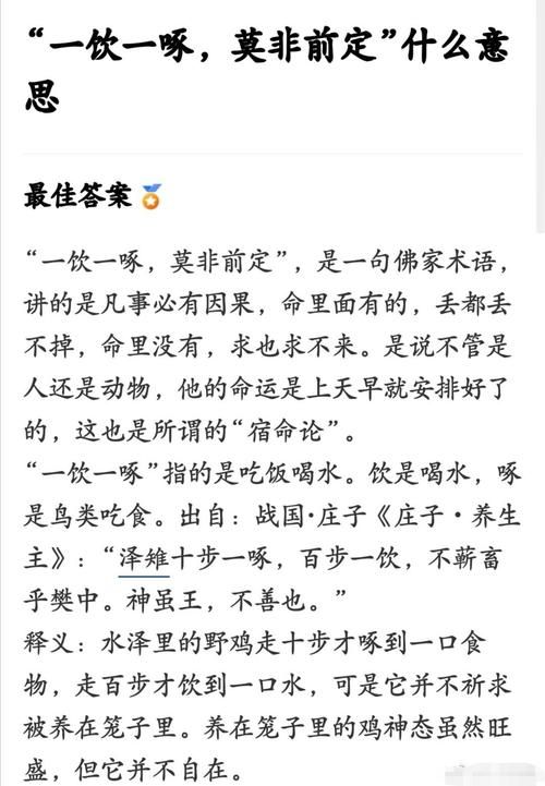 宿命论官方正式版下载最新版 手机电脑双端兼容