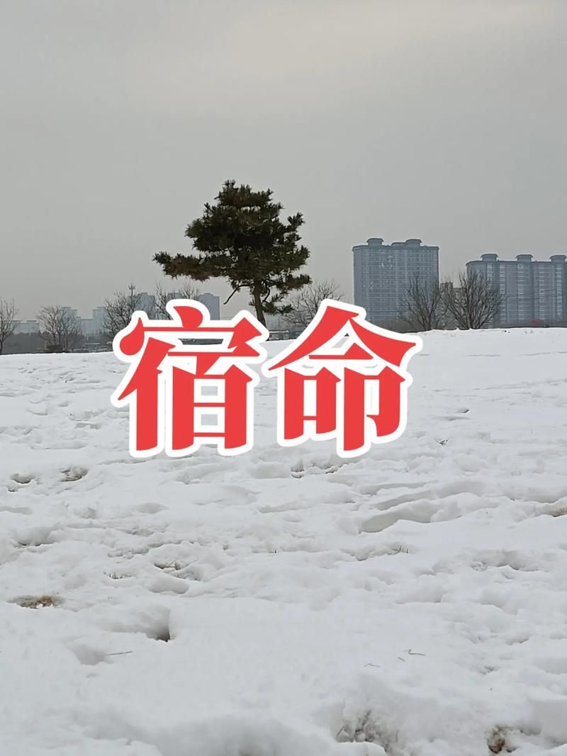 宿命论官方正式版下载最新版 手机电脑双端兼容