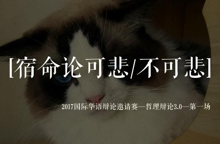 宿命论官方网站揭秘命运真相你想知道的都在这里