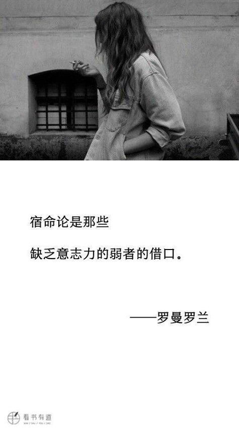 宿命论官方网站揭秘命运真相你想知道的都在这里