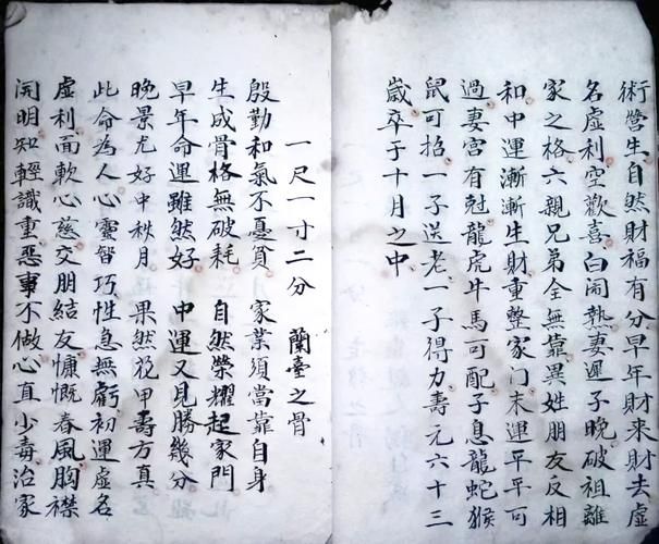 宿命论官网解读命运奥秘 探索人生轨迹的终极指南