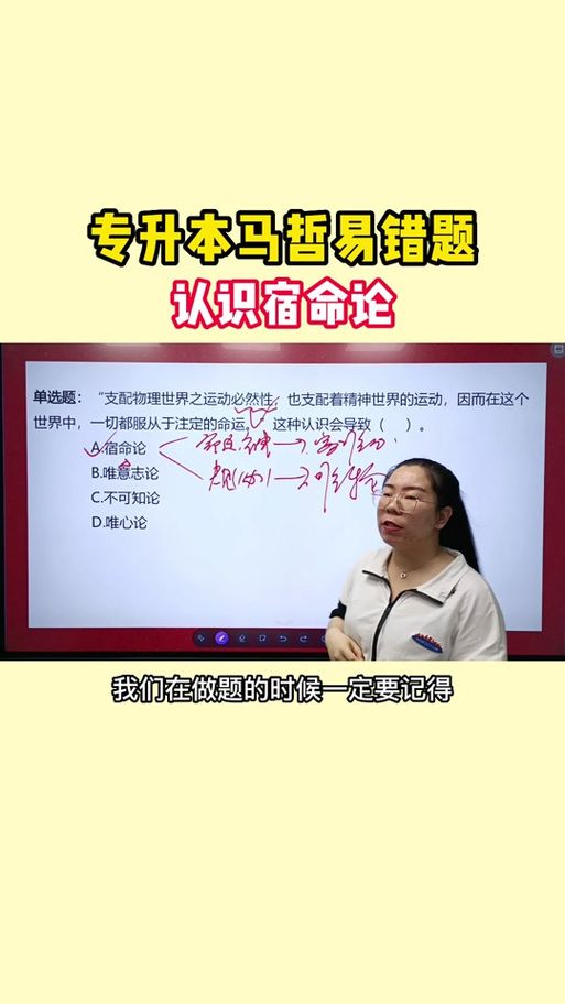 宿命论游戏介绍 玩家评价与游戏体验分享