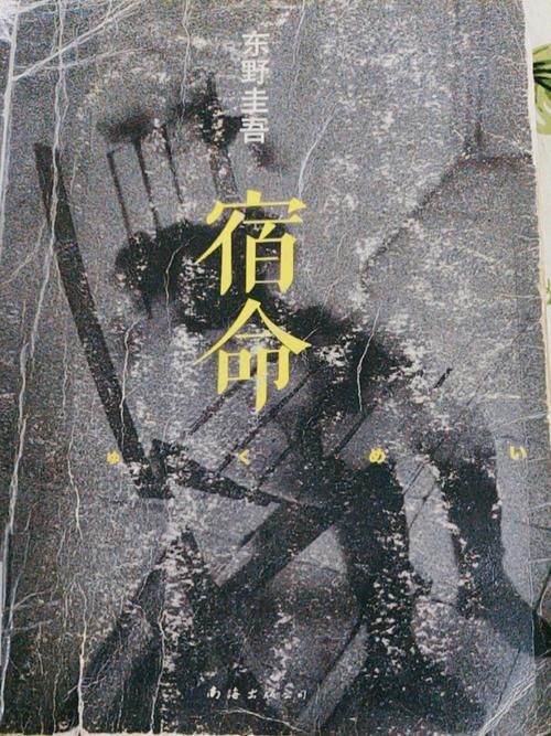 宿命论版本大全揭秘命运是否早已注定