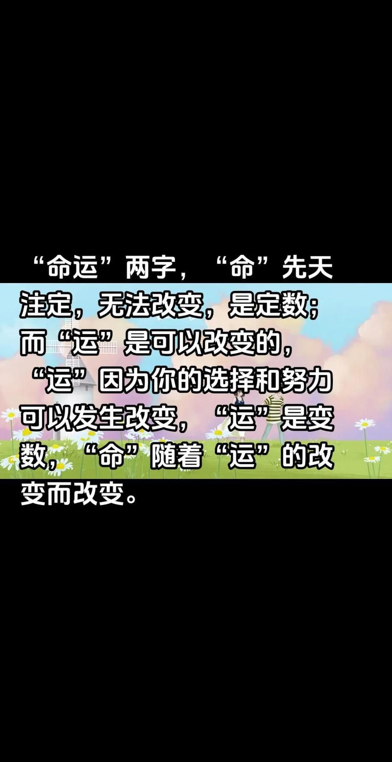 宿命论版本大全揭秘命运是否早已注定
