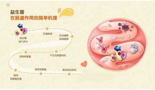 宿敌派对在哪下载 避免病毒广告的下载技巧