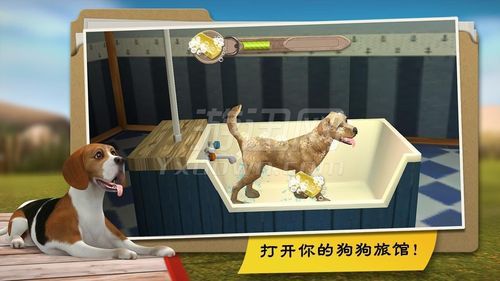 寄宿生活在哪下载 快速找到官方正版下载地址