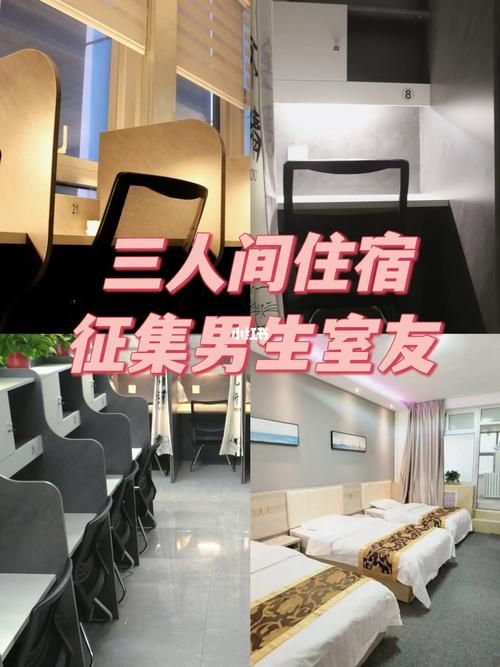 寄宿生活游戏介绍 感受室友互动的趣味玩法
