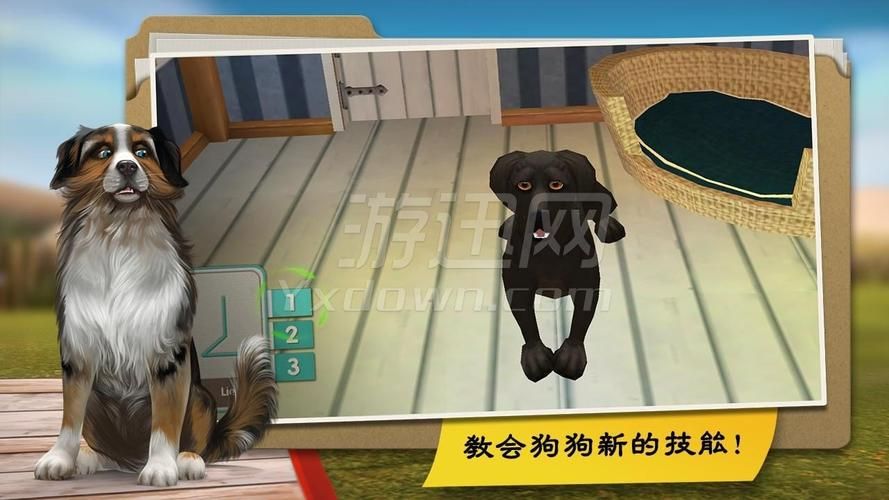 寄宿生活游戏官网最新下载地址及玩法介绍