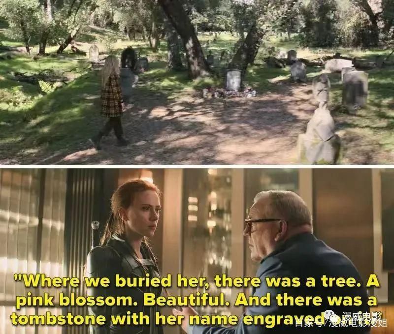 寡妇的偏远客栈游戏官网剧情解析隐藏彩蛋揭秘