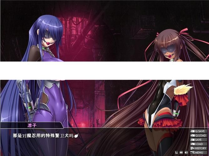 对魔忍阿莎姬版本大全 经典版本回顾与对比