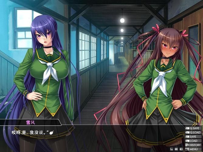 对魔忍雪风下载地址高清中文版免费获取