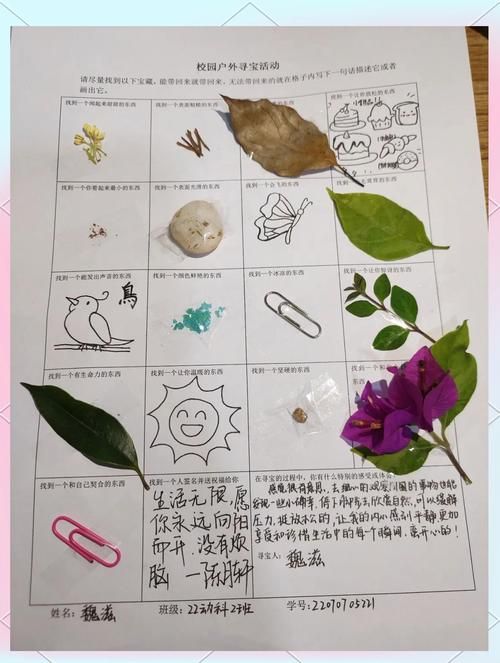 寻找夏日的宝物如何下载 完整步骤与常见问题解答