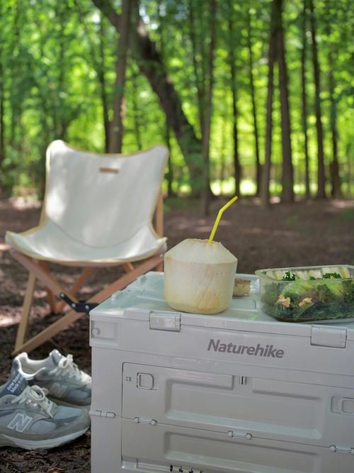 寻找夏日的宝物官网带你发现夏日隐藏惊喜