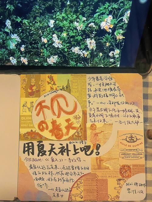 寻找夏日的宝物最新指南 轻松找到属于你的夏日记忆